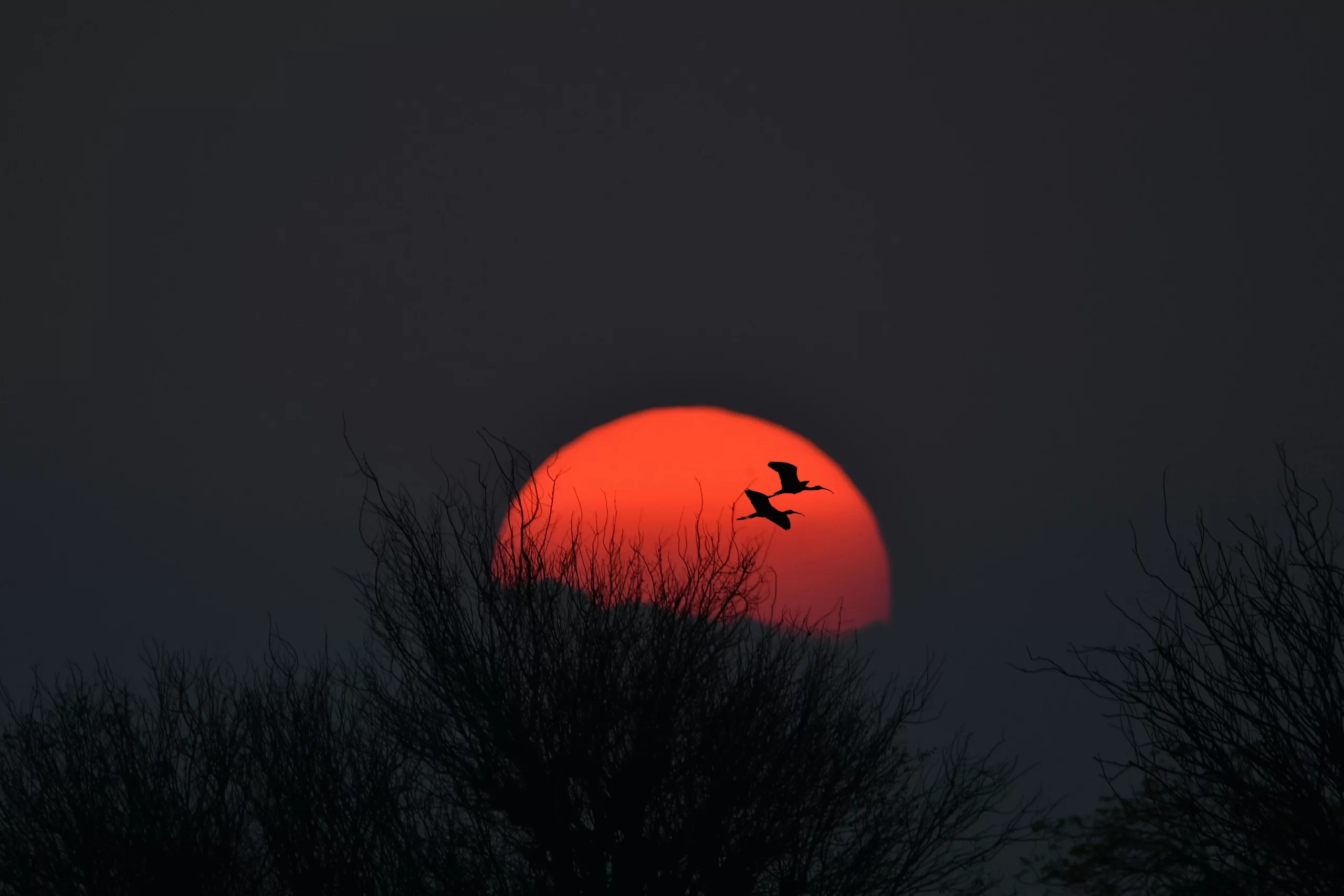 names of non governmental organization