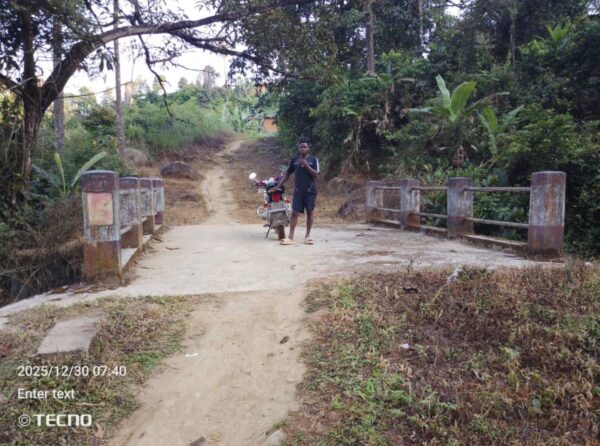 Bridges and Culverts for Upper Nkongho Mbo